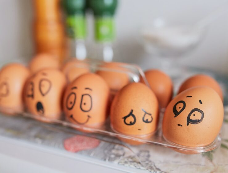 brown eggs on white tray