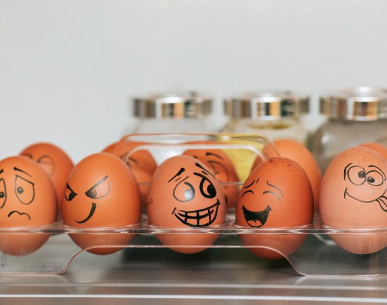 orange and white egg on stainless steel rack