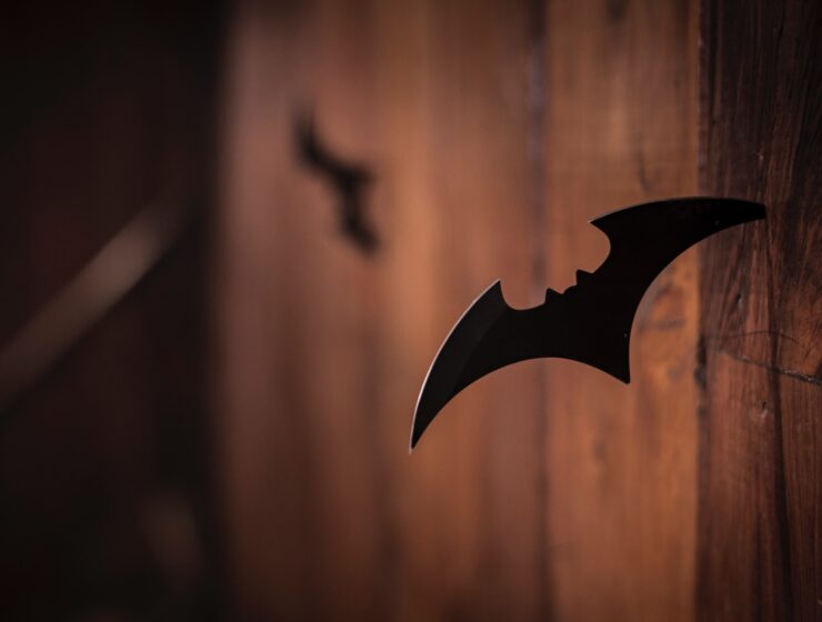 closeup photo of shuriken on wood