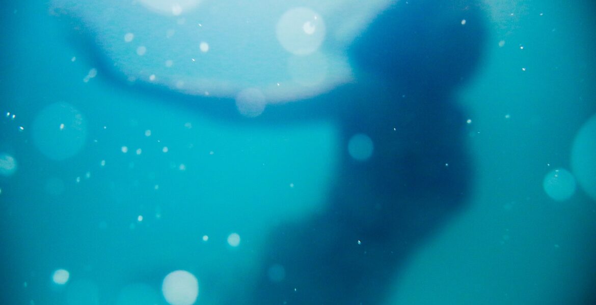 woman swimming under body of water