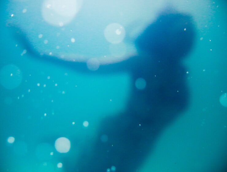 woman swimming under body of water